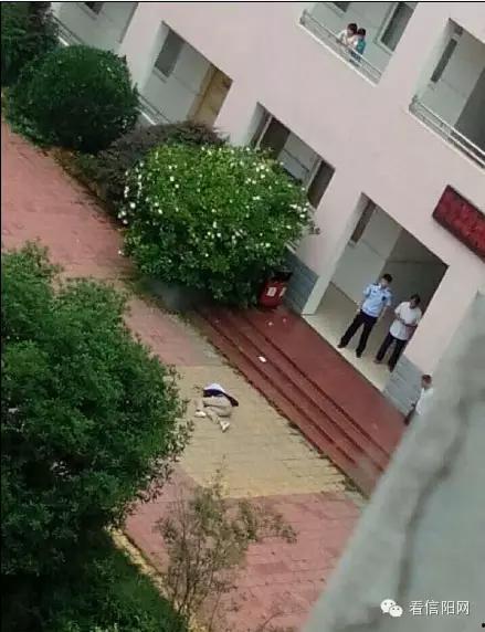 郑州小区女子爆料视频,郑州小区女子爆料视频引发热议 第2张 郑州小区女子爆料视频,郑州小区女子爆料视频引发热议 第2张