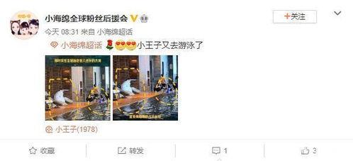 小海绵最新爆料辟谣视频,揭秘真相背后的真相 第2张 小海绵最新爆料辟谣视频,揭秘真相背后的真相 第2张